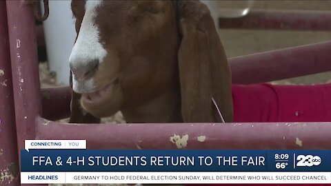 FFA and 4-H students excited to return to the fair this year