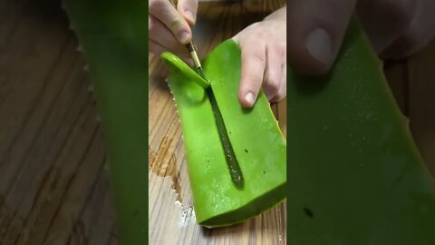 Viral videos and Trending videos for entertainment(1)