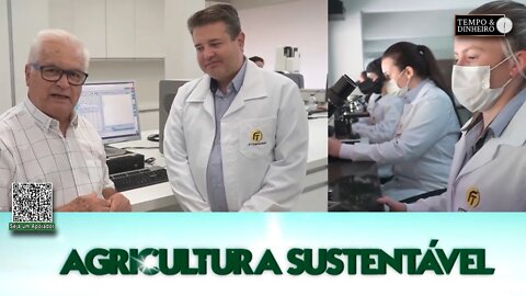 Pesquisa avançada da FT Sementes está gerando cultivares de soja mais precoces e produtivas