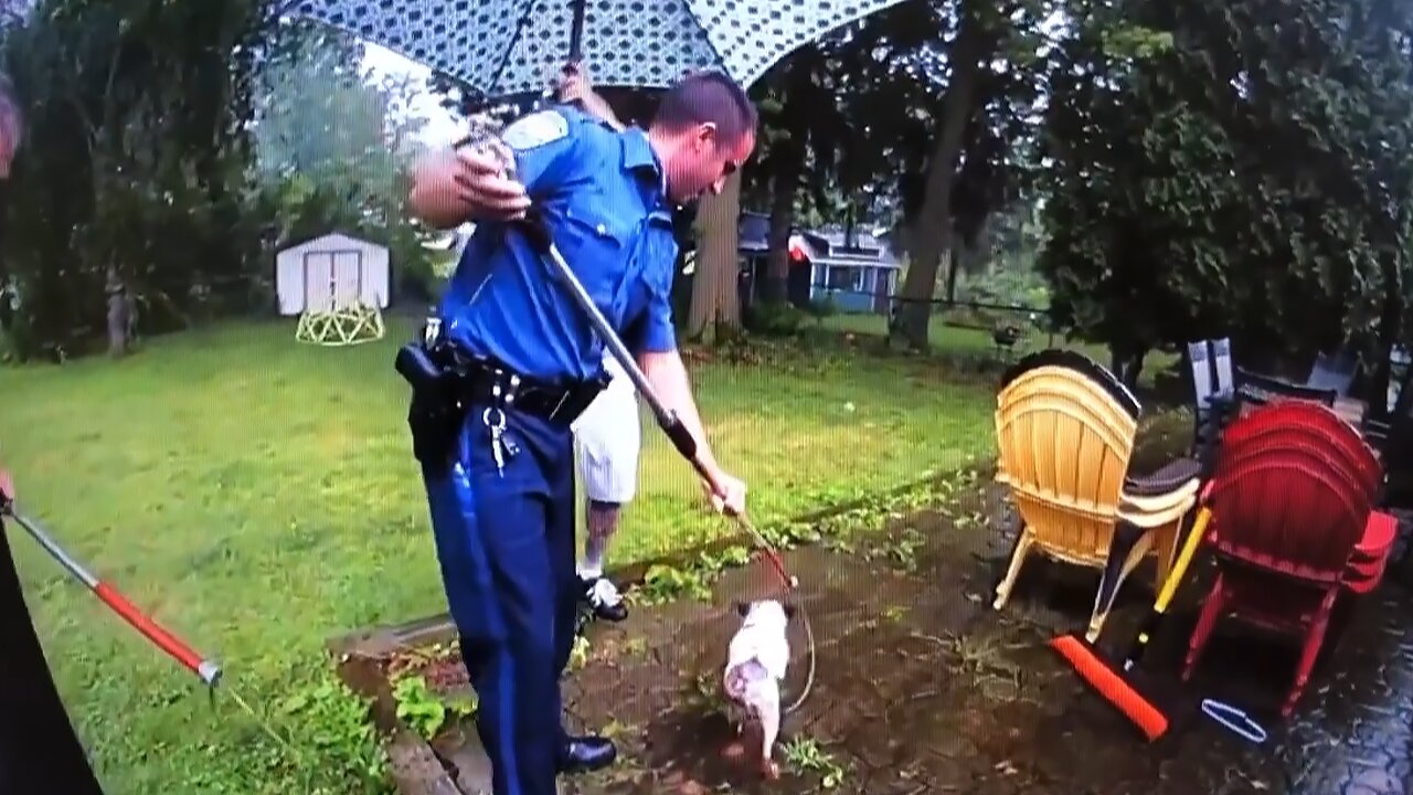 Police rescued blind, deaf & elderly dog from long forgotten cistern