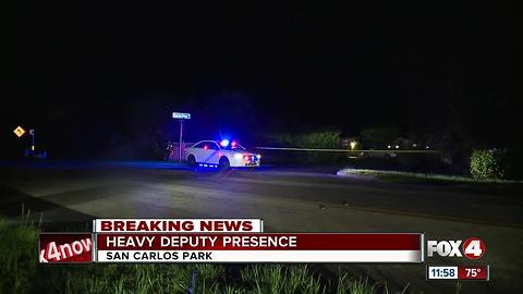 Large deputy presence in San Carlos Park