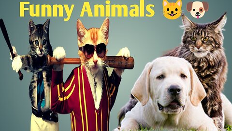 Funny animal 2023 _ dog 🐶 And Cats 😺 club animals videos ||