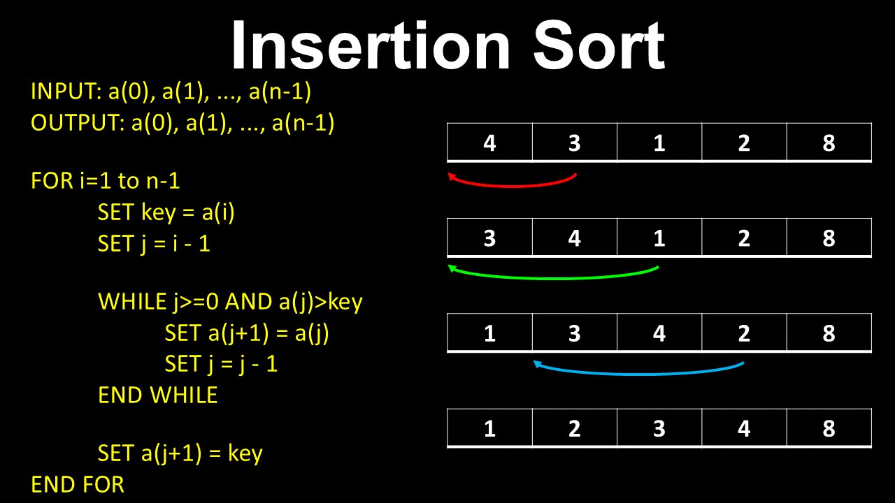 Insertion Sort - Computer Science