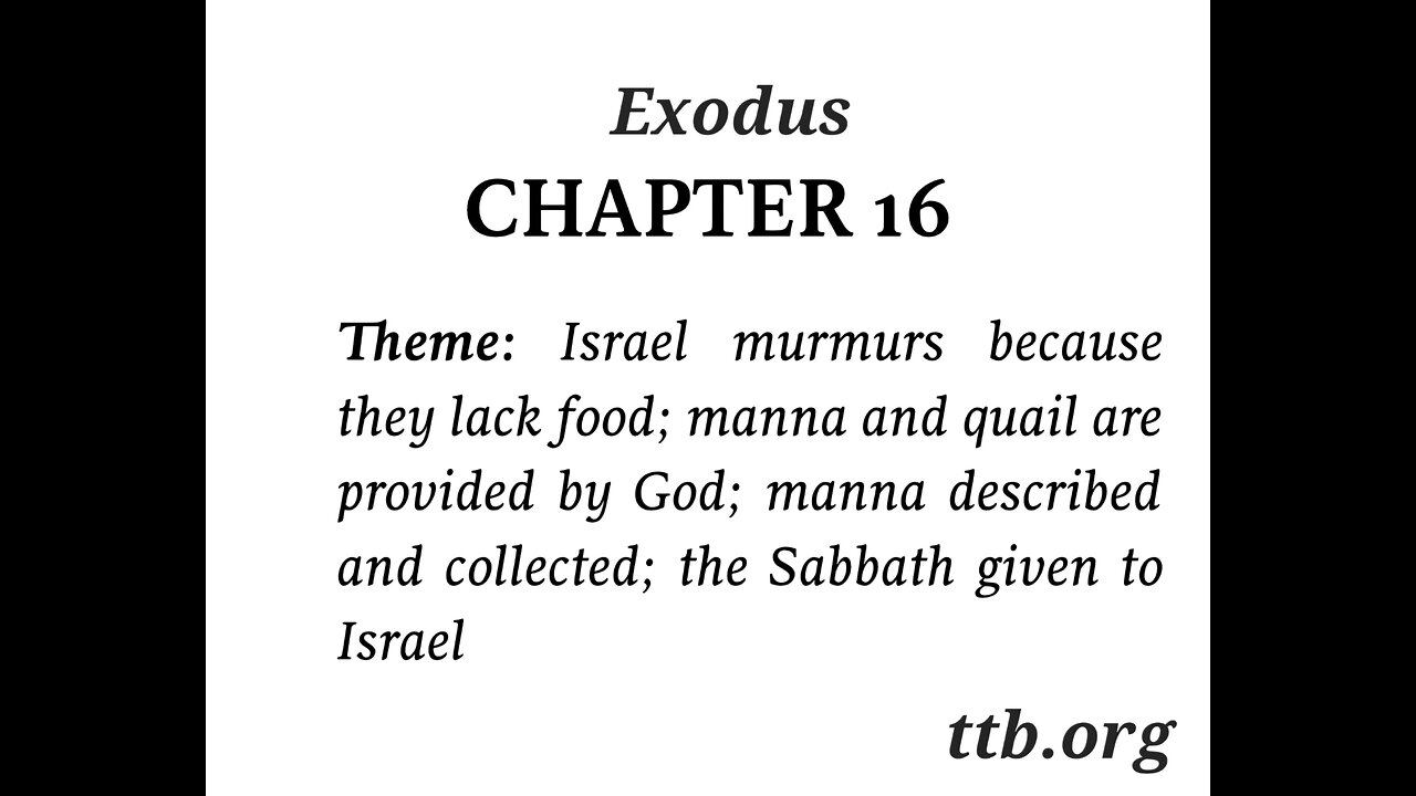 Exodus Chapter 16 (Bible Study)