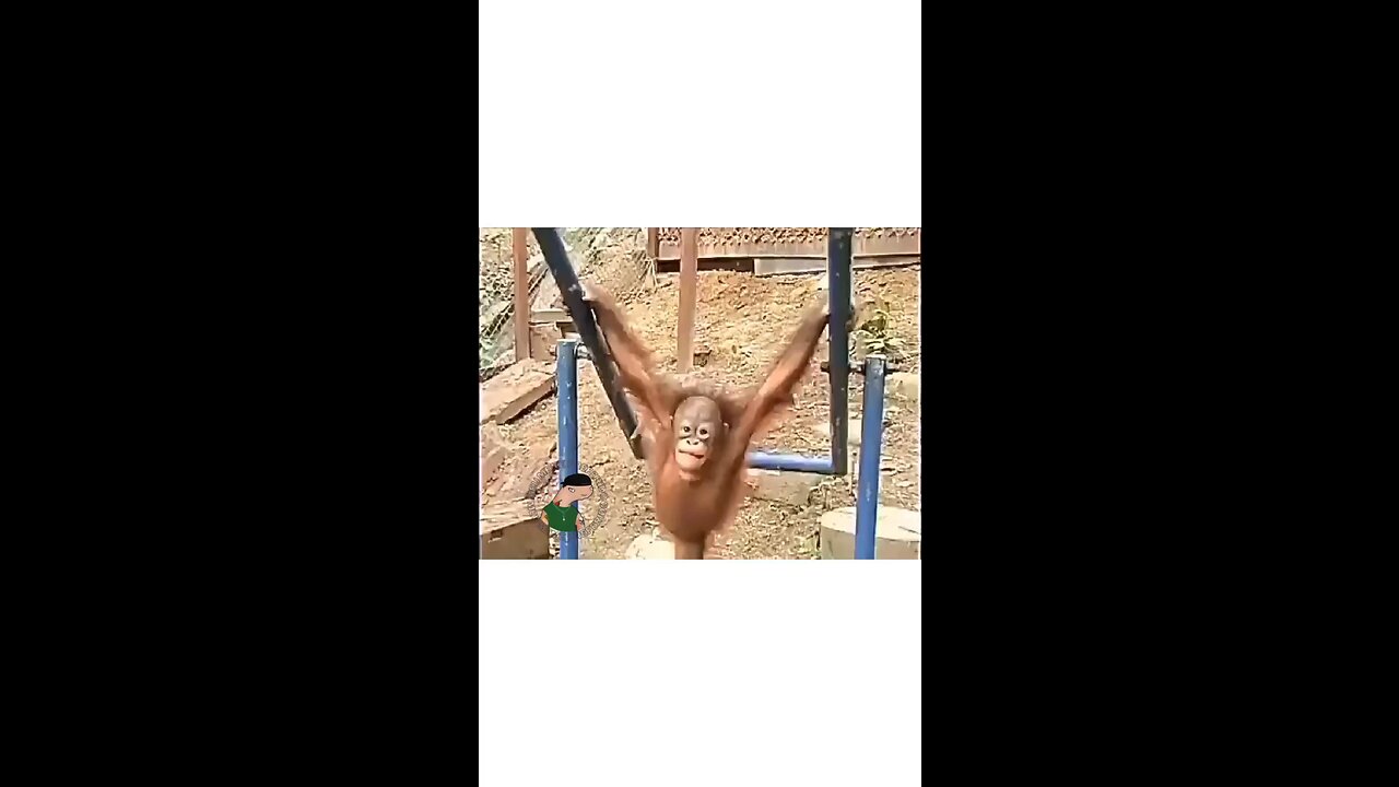 🤣🤣