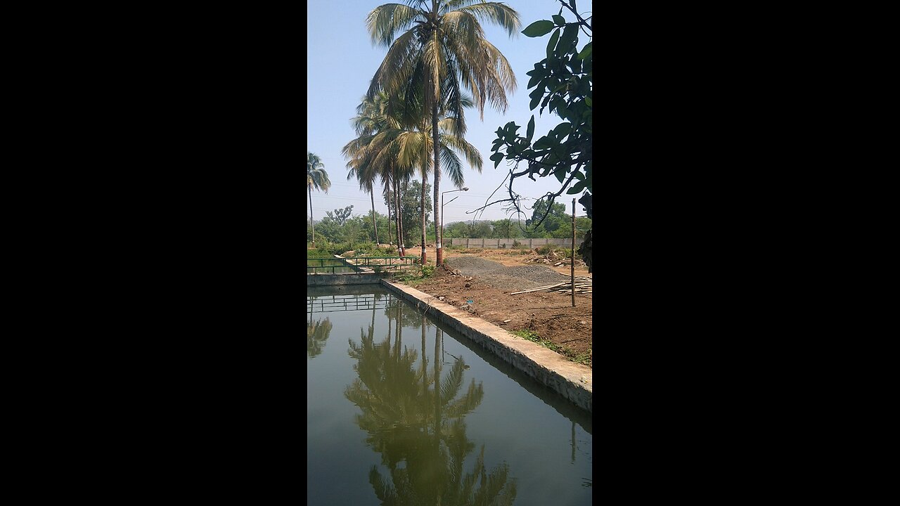 beautiful garden garden water storage area.