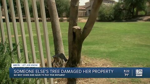 Valley woman faces dilemma after someone else's tree damages her property