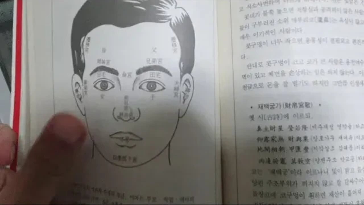 복있는 관상은 어떤 얼굴인가, 마의상법, 유장상법, 재백궁, 코, 금전궁, 재복유무, 금전출납, 재산관계 재운12궁, 토성, 토요, nose, physignomy, 얼굴관상보기