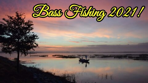 Bass Fishing 2021! What does your year have in store?