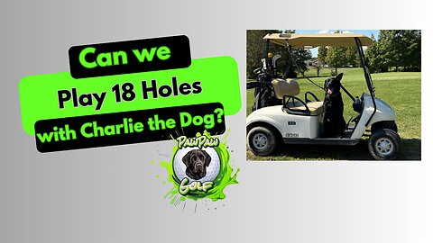 Can We Play 18 Holes with Charlie Dog