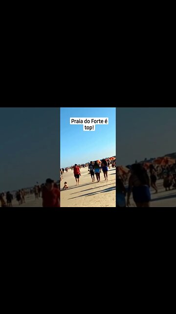 Praia do Forte [ Cabo Frio] RIO é show! #shorts