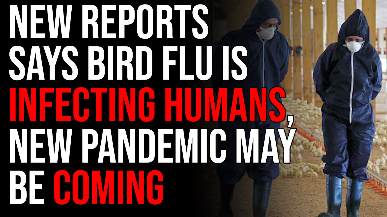 New Reports Says Bird Flu IS INFECTING HUMANS, New Pandemic May Be Coming Or It's Just Clickbait