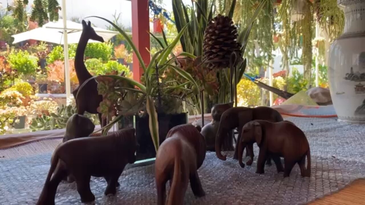 Souvenirs from Mombasa, Kenya