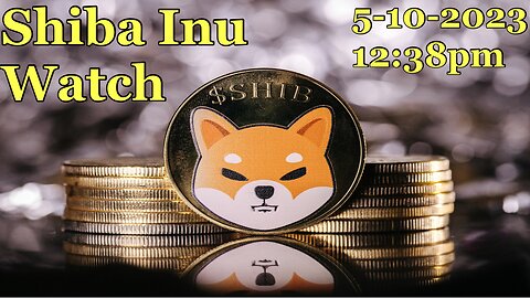 Shiba Inu Watch 5-10-2023 12:38pm