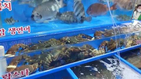 #fish #seafood #Korea Ga-rack-dong Seafood market inSeoul Korea! 가락동 농수산물 시장