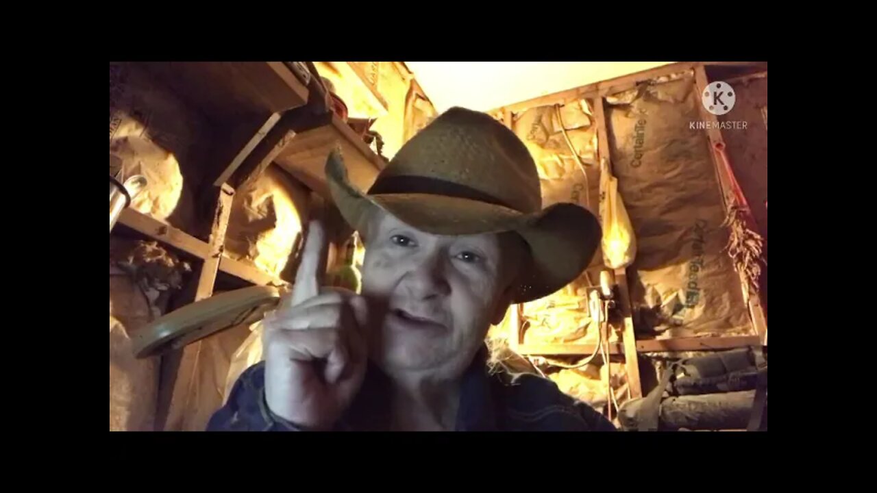 Buyer Beware ! Walnut Hill Rentals