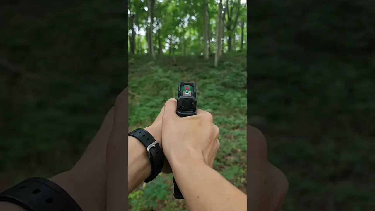 NEW Springfield Echelon POV