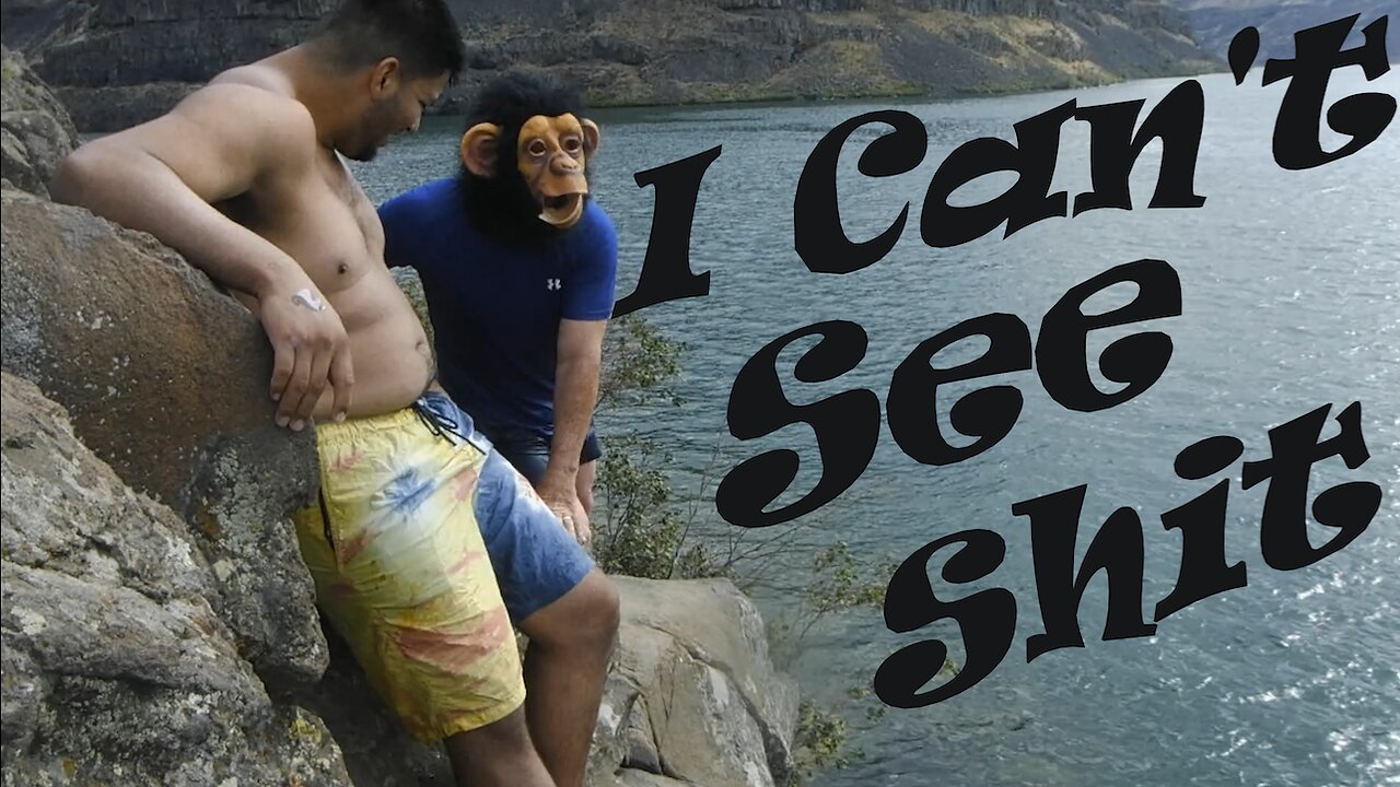 One Day A Monkey Climbed A Cliff....