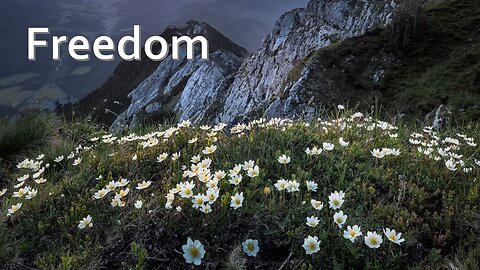 Sermon Only | Freedom | July 2, 2023