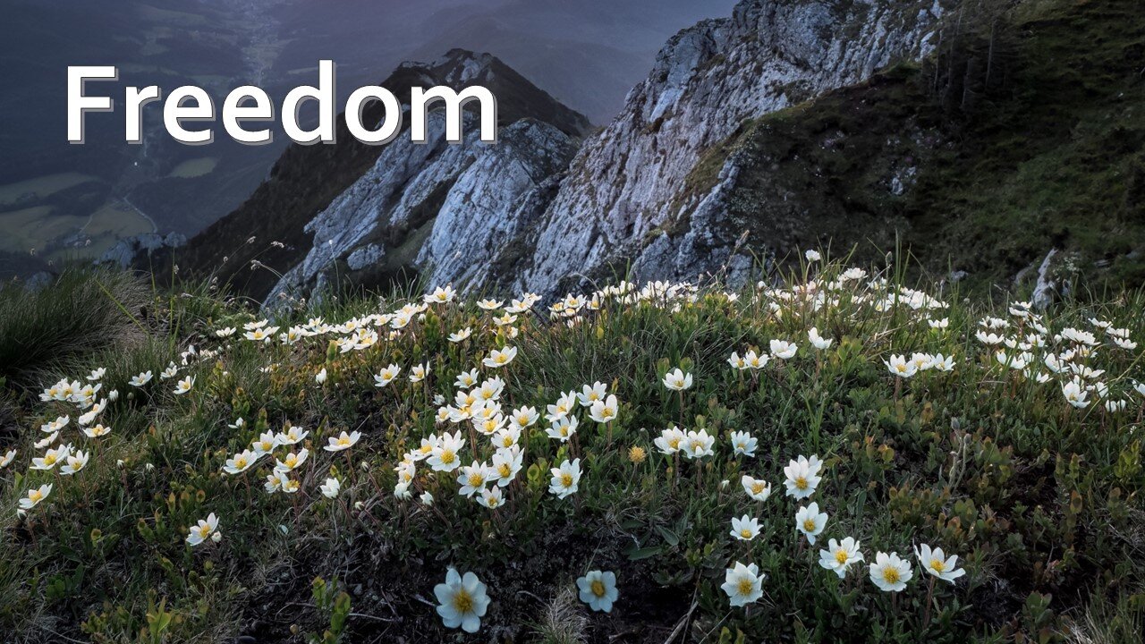 Sermon Only | Freedom | July 2, 2023