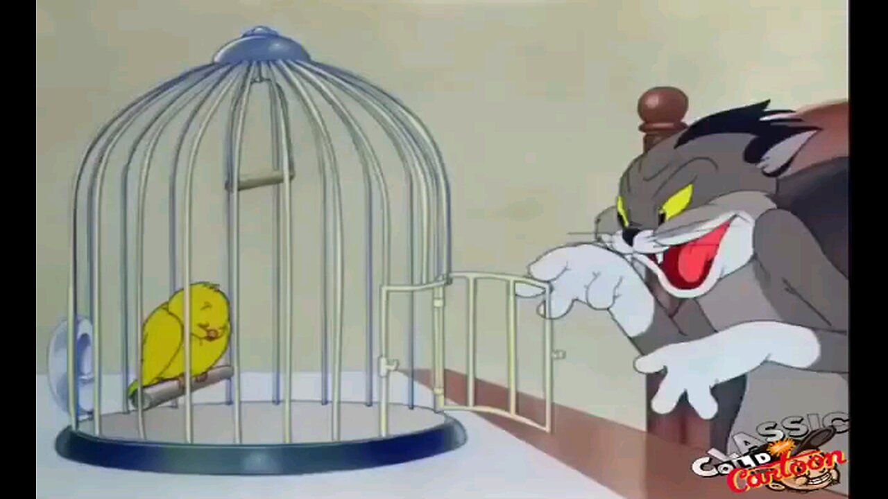 most funny cartoons video