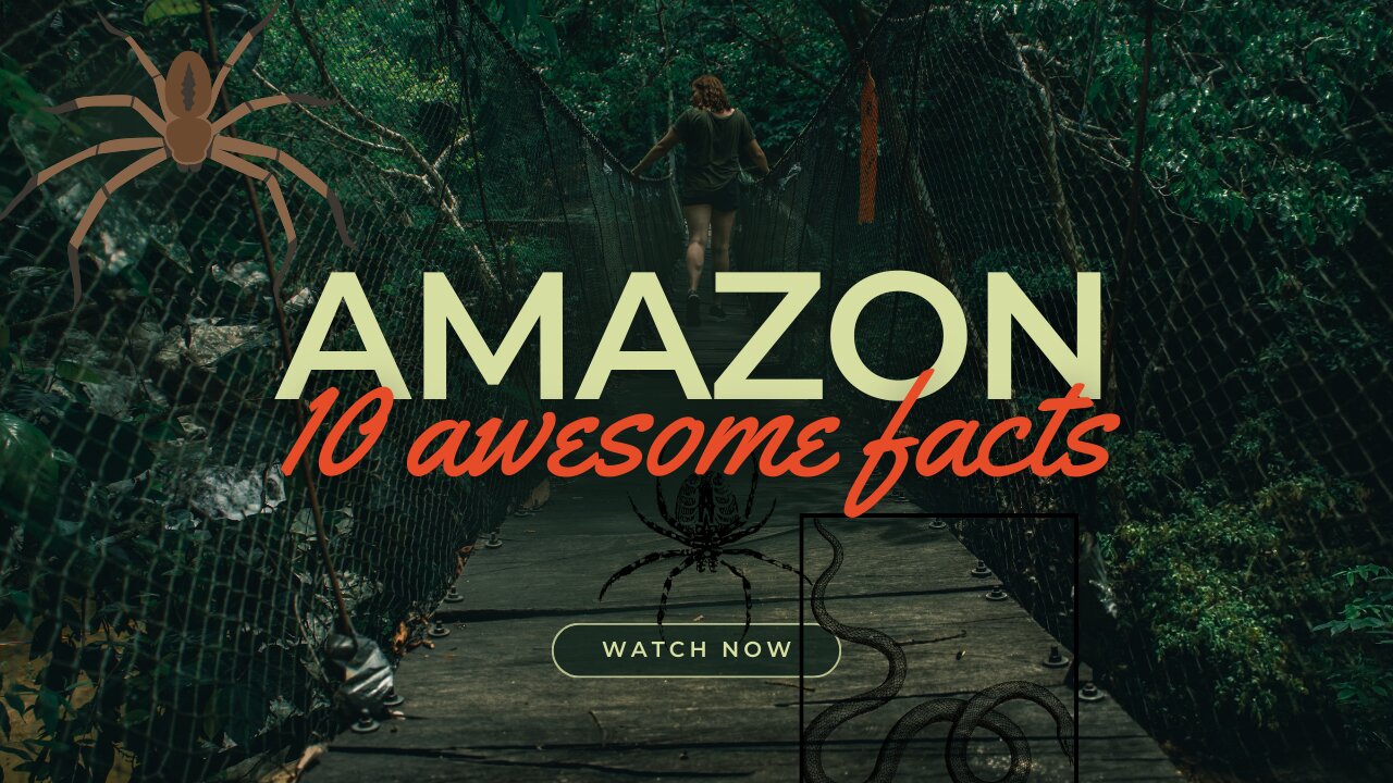 10 Awesome Facts 👉 THE AMAZON