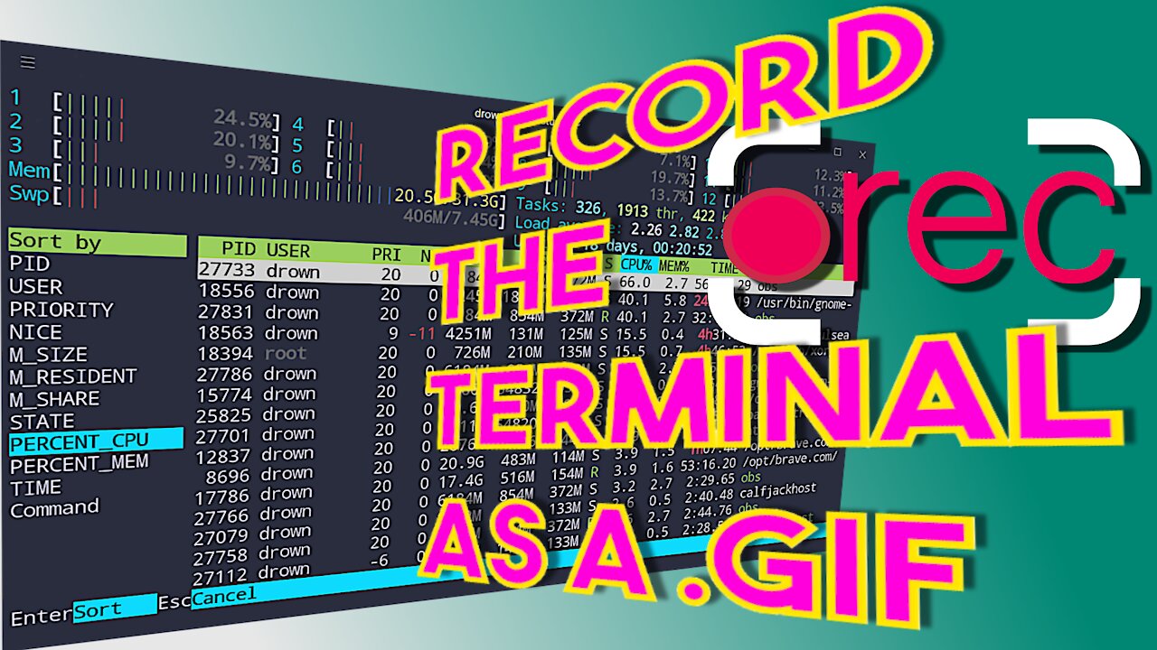 How To Record The Terminal With ASCIINEMA & TTYrec