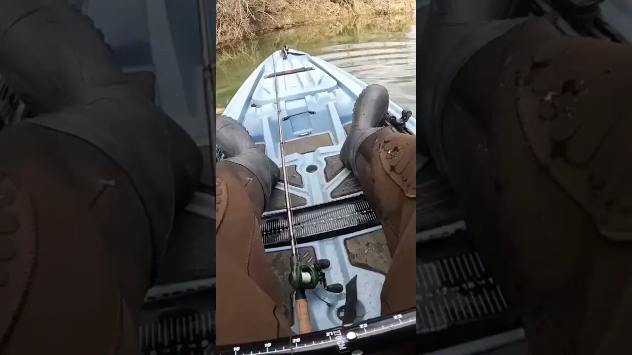 I NEVER Thought a Creek Would Hold Fish Like This