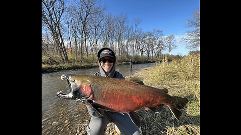 COHO SALMON EATS MY SPINNER ON THE SURFACE!