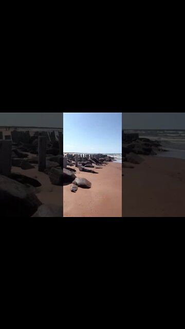 Walking by the Old Dock at Tracadie Beach