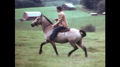 03 Circa 1976