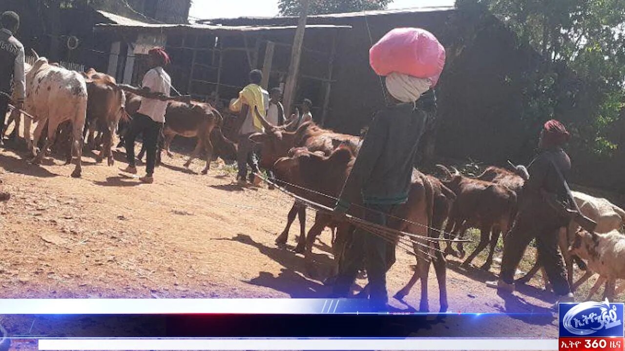 Ethio 360 News Friday Nov 27, 2020