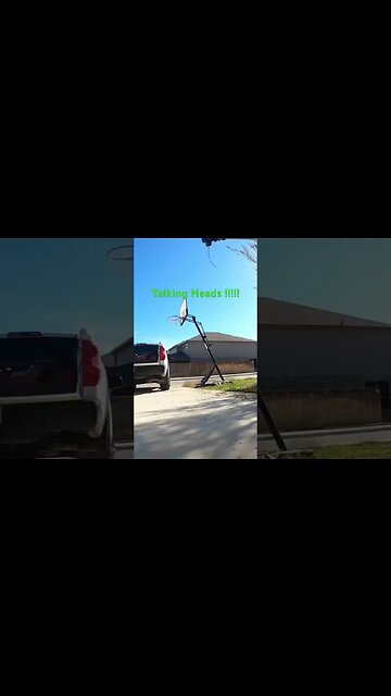 #talkingheads #viral #shortvideo #grass #grass #lawn #lawncare #mowing #bermuda #home #sod