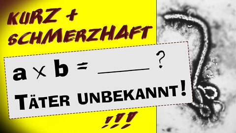 a x b = ___ ? Täter unbekannt!