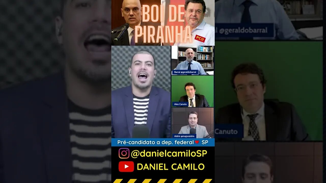 PCO, o boi de piranha do PT! #shorts