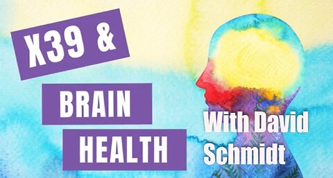 X39 and brain health – David Schmidt