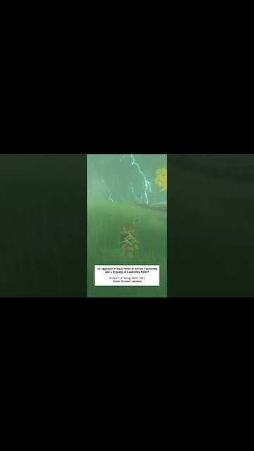 An Opponent Process Model of Servant Leadership and a Typology of Leadership Styles #wong