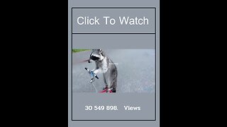 Funny animals video 2023