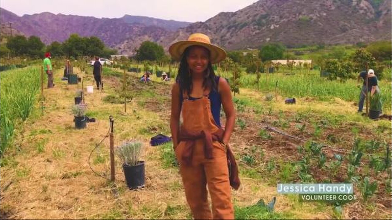 Volunteering on a Regenerative Farm