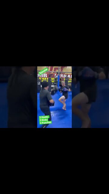 Working Savate on the Revgear Phoenix Mitts