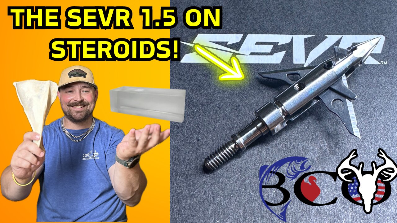 Sevr 1.5 hybrid broadhead shoulder blade & ballistic gel test | bco review |