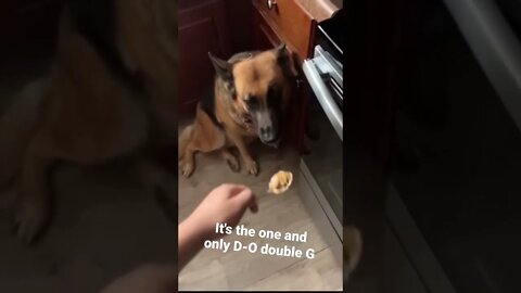 MEME is the one and only D-O double G #shorts