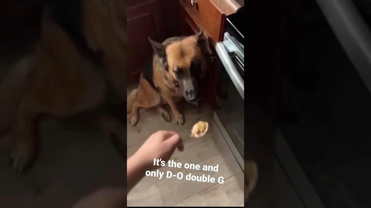 MEME is the one and only D-O double G #shorts