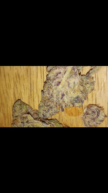 Southern Sugar Up Close