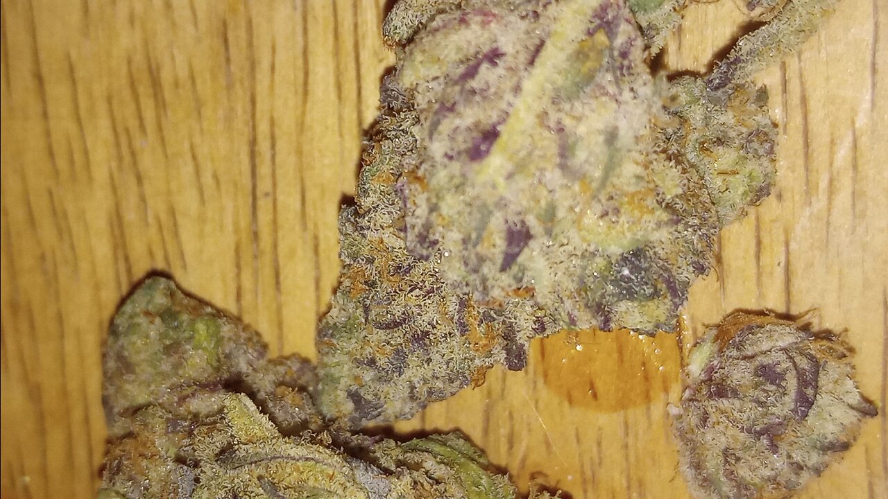 Southern Sugar Up Close