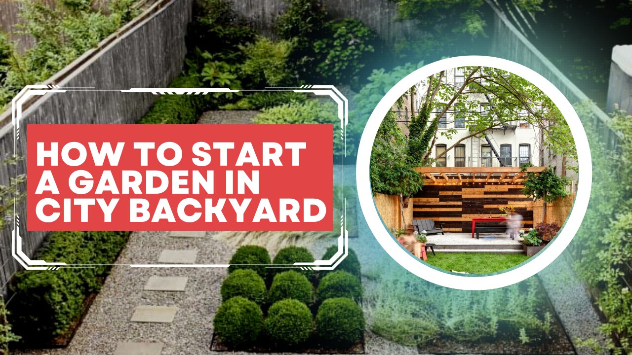 How to Start a Garden in Your Suburban or City Backyard