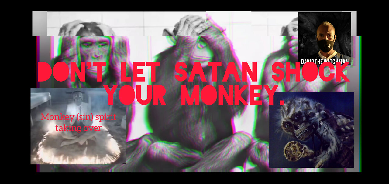 'MONKEY' = Sin Spirit. Satan wants to shock your monkey. Hebrew Gematria decode: "Trap your Monkey!"