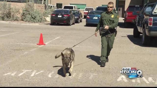 Drug case stalls after federal attorneys sit on information about Border Patrol K9