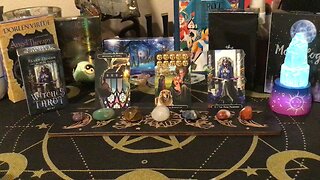 New Witches Tarot Reading ✨🌙🤍 #tarot #viral #reading