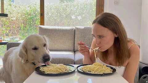 Spaghetti Eating Competition: Golden Retriever Dog vs. Owner.